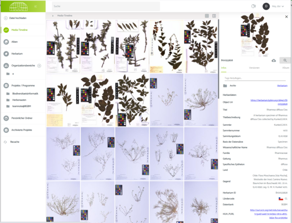 IIIF BGBM Example - CETAF ISTC Wiki